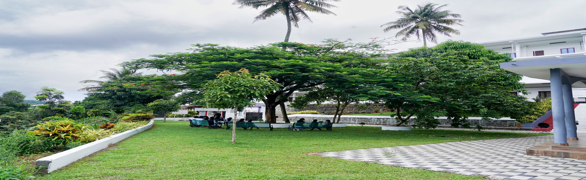 pavanathma college